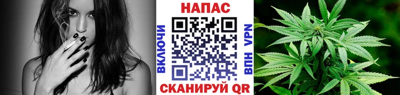 Где найти наркотики Сасово COCAIN МАРИХУАНА СОЛЬ Гашиш Меф мяу мяу