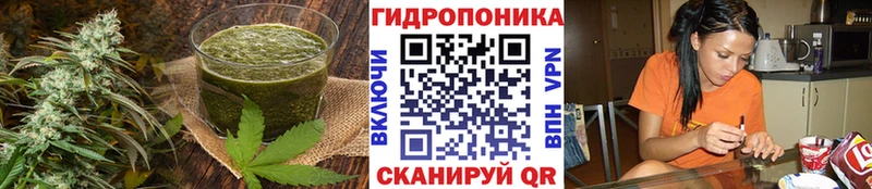 Cannafood марихуана  Сасово 