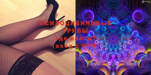 гашик Арсеньев