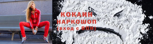 гашик Арсеньев