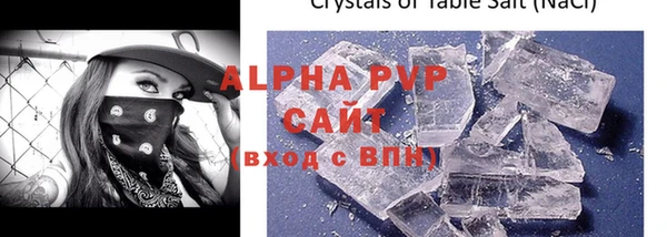 гашик Арсеньев