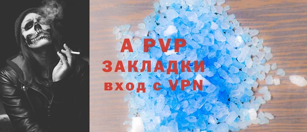 гашик Арсеньев